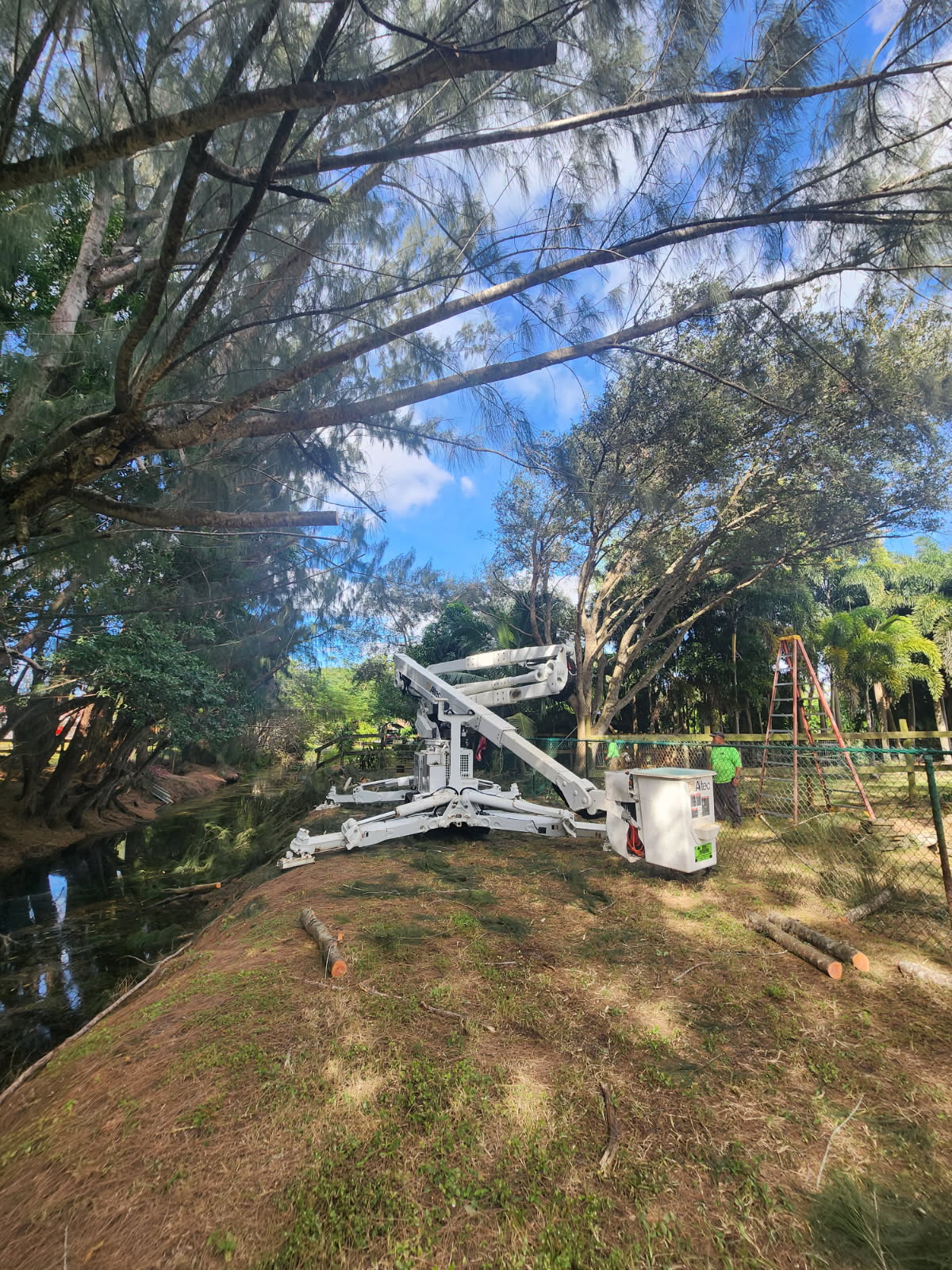 Tree Masters Fl (10)