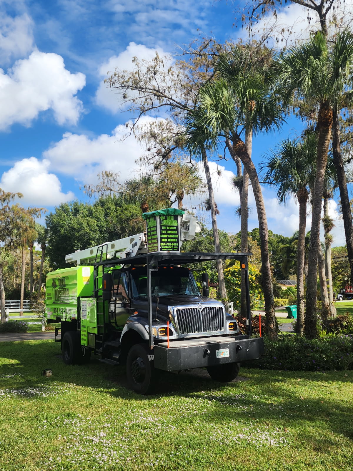 Tree Masters Fl (13)