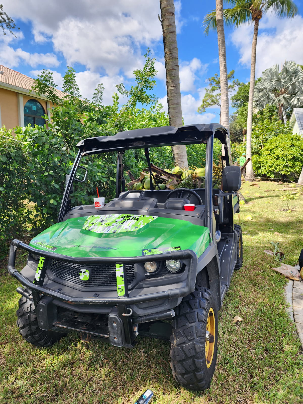 Tree Masters Fl (16)