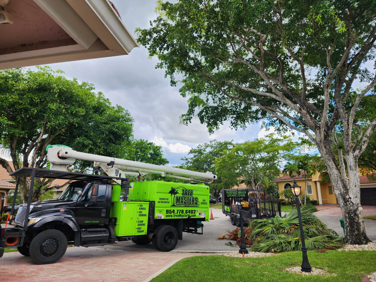 Tree Masters Fl (20)