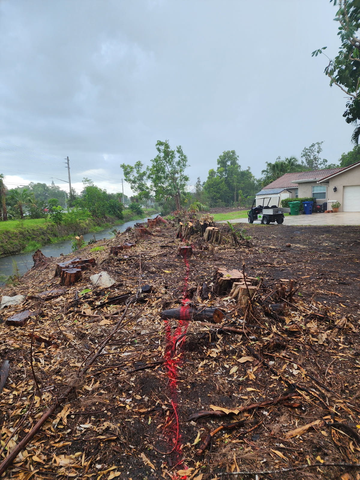 Tree Masters Fl (23)