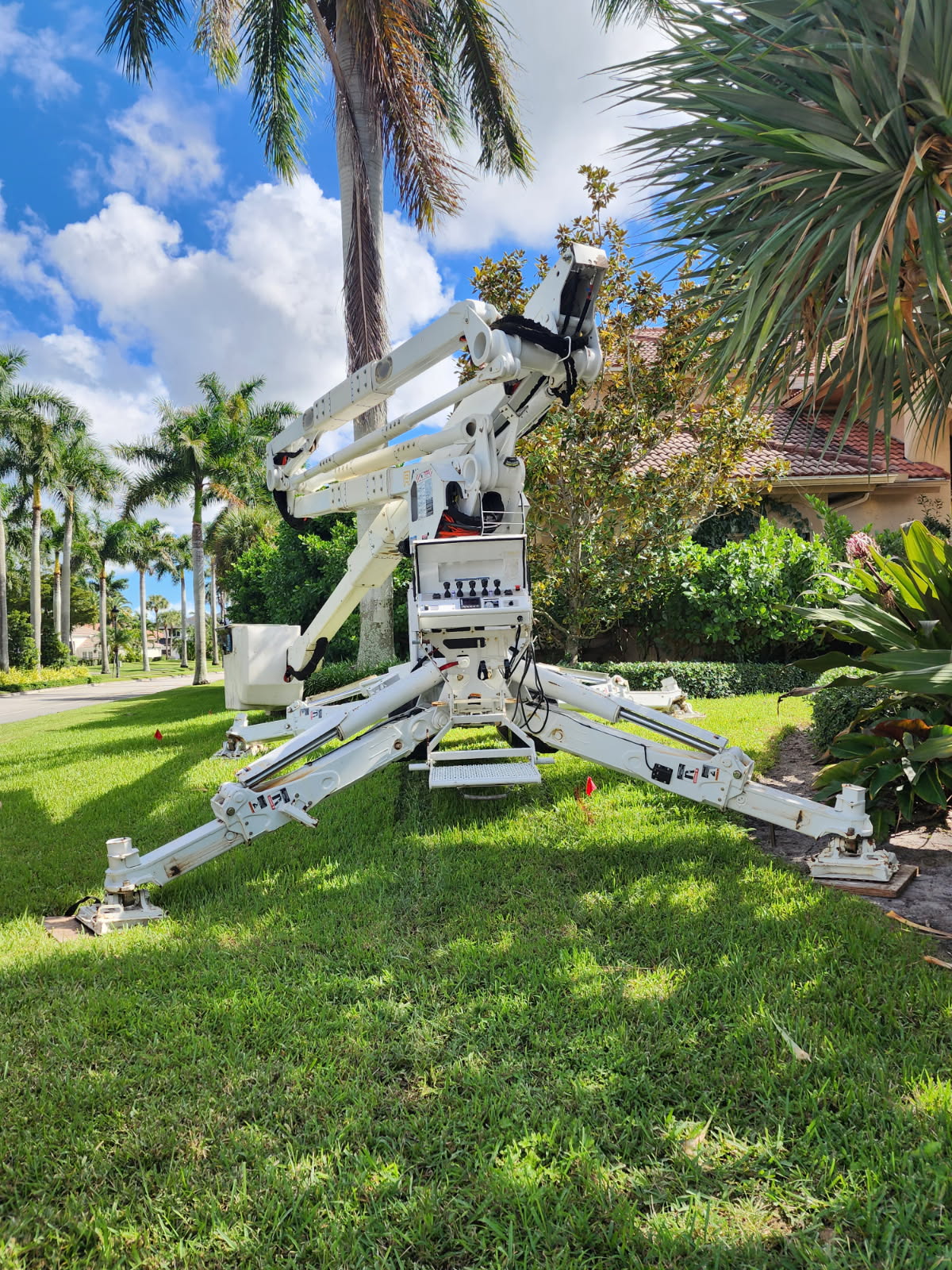 Tree Masters Fl (24)